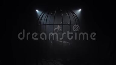 在笼子里的场景中的女孩穿着服装表演杂技。 黑烟背景。 剪影。 慢动作